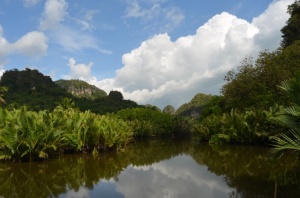 Keindahan panorama alam Rammang-rammang.